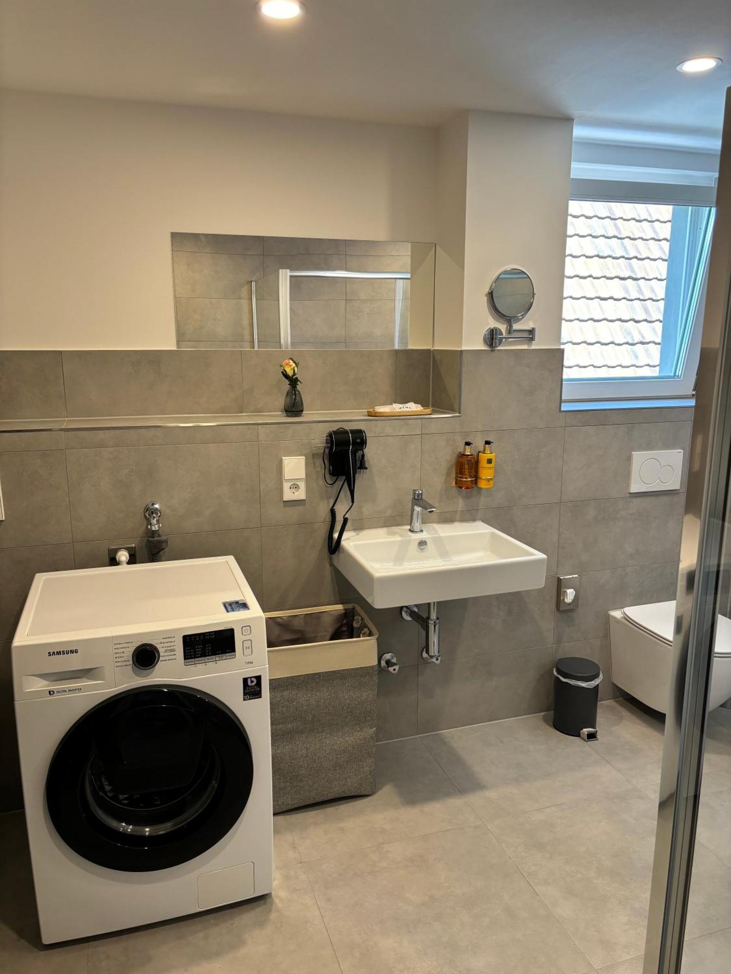 Gesamte Wohnung, Kueche, Parkplatz, Terrasse Bad Bellingen Εξωτερικό φωτογραφία