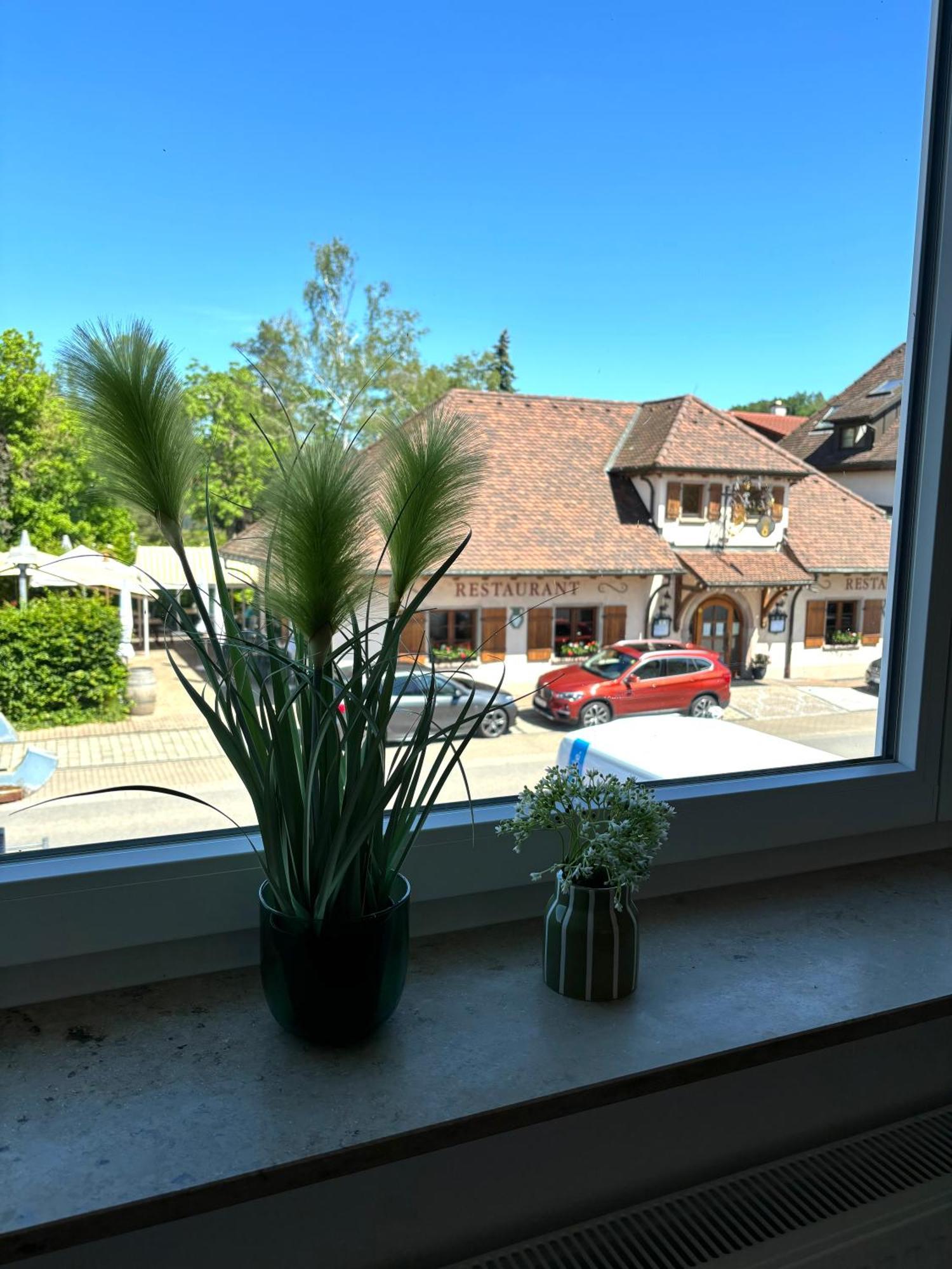 Gesamte Wohnung, Kueche, Parkplatz, Terrasse Bad Bellingen Εξωτερικό φωτογραφία